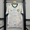 Maillot 25/26 Domicile Sénégal Extérieur